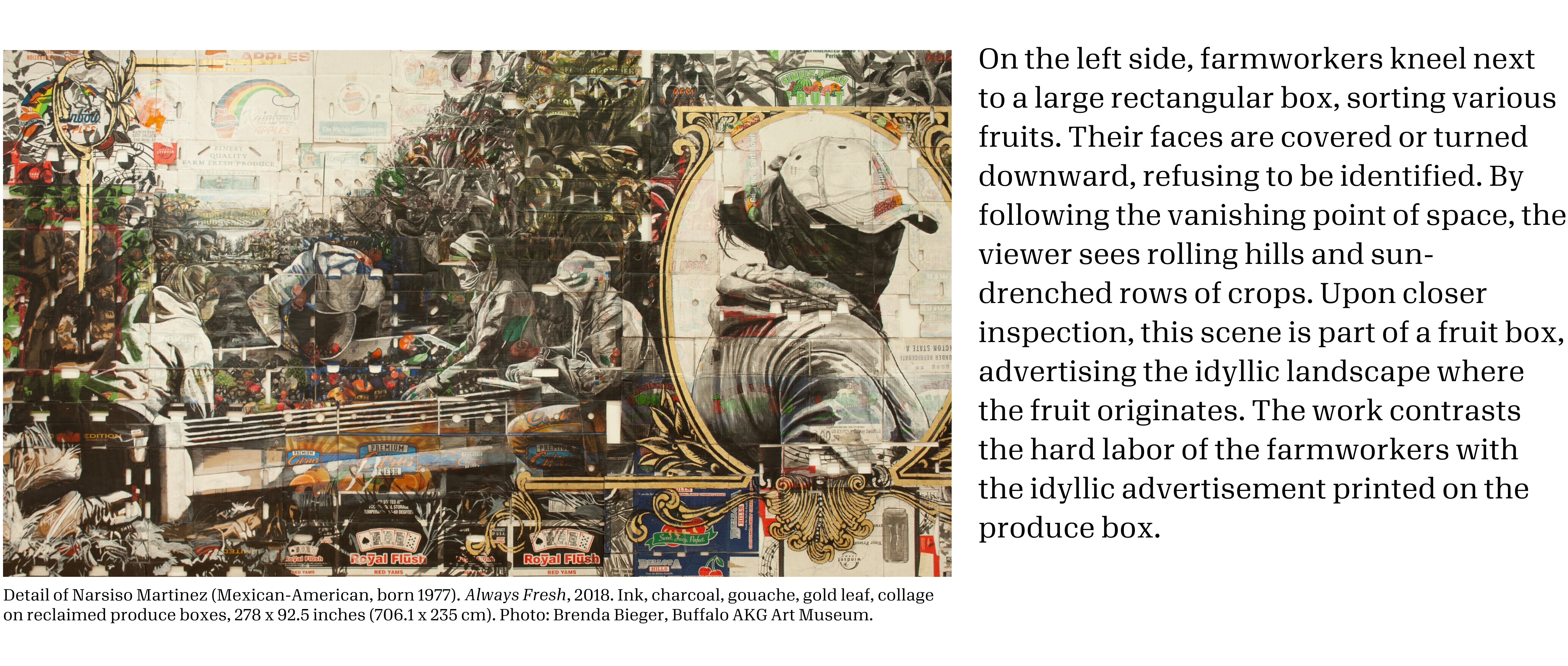 A painting of farmworkers on produce boxes with the caption "Detail of Narsiso Martinez (Mexican-American, born 1977).Always Fresh, 2018. Ink, charcoal, gouache, gold leaf, collage on reclaimed produce boxes, 278 x 92.5 inches (706.1 x 235 cm). Photo: Brenda Bieger, Buffalo AKG Art Museum." and a paragraph to the right stating "On the left side, farmworkers kneel next to a large rectangular box, sorting various fruits. Their faces are covered or turned downward, refusing to be identified. By following the vanishing point of space, the viewer sees rolling hills and sun-drenched rows of crops. Upon closer inspection, this scene is part of a fruit box, advertising the idyllic landscape where the fruit originates. The work contrasts the hard labor of the farmworkers with the idyllic advertisement printed on the produce box."