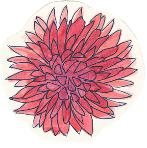 Hand-drawn red flower