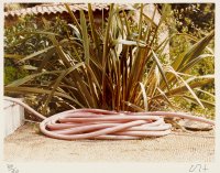 Pink Hose - May 1974 from the portfolio Twenty Photographic Pictures
