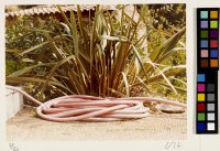 Pink Hose - May 1974 from the portfolio Twenty Photographic Pictures