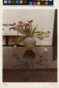 Pretty Tulips - February 1970 from the portfolio Twenty Photographic Pictures