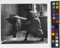 Untitled (Sisal worker, Yucatan) from the series Early Mexico, 1953-1961