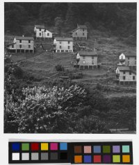 Untitled (Houses on hillside) from the series Appalachia, 1962-1987