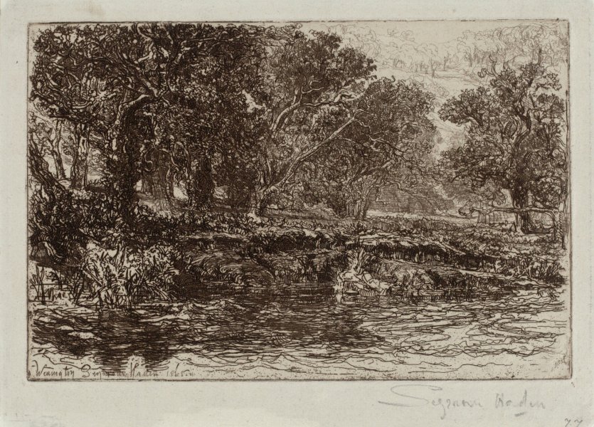 A River Side - Devon