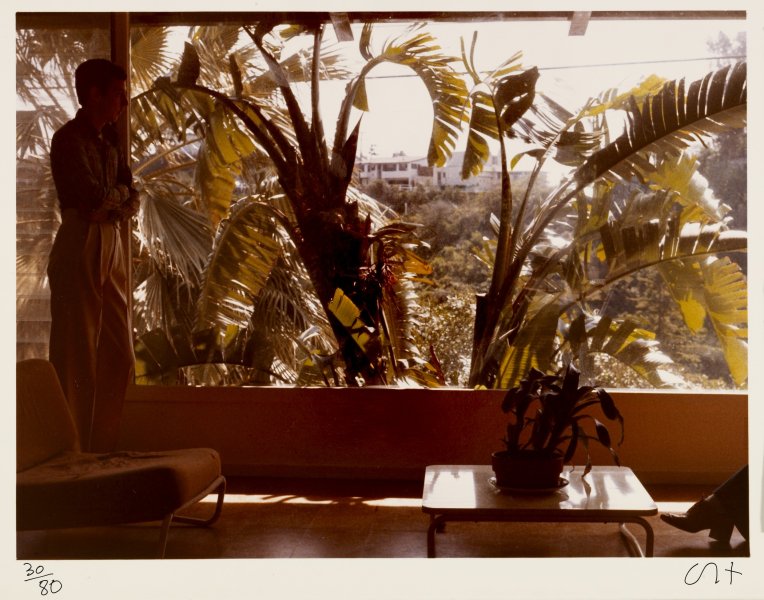 Hollywood Window - April 1973 from the portfolio Twenty Photographic Pictures