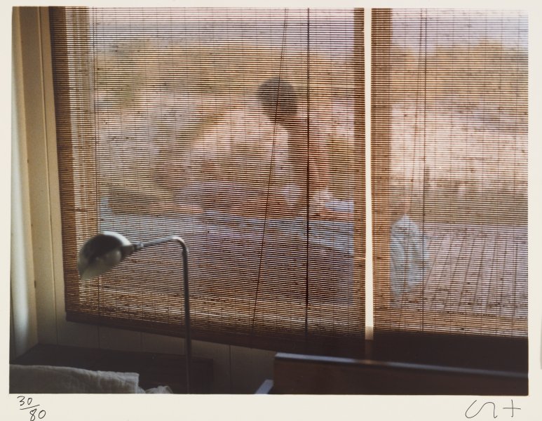 The Pines Fire Island - August 1975 from the portfolio Twenty Photographic Pictures