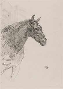 Henri de Toulouse-Lautrec&#039;s lithograph Le Poney Philibert,1898, depicting a horse&#039;s head