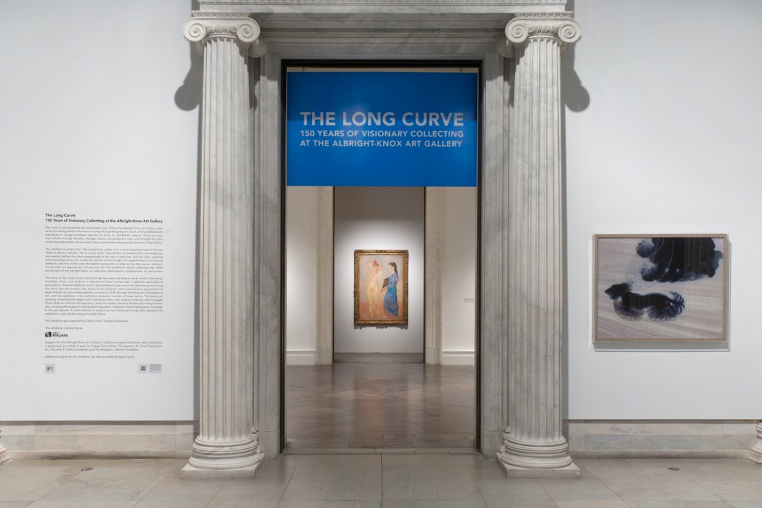 Installation view of The Long Curve: 150 Years of Visionary Collecting at the Albright-Knox Art Gallery