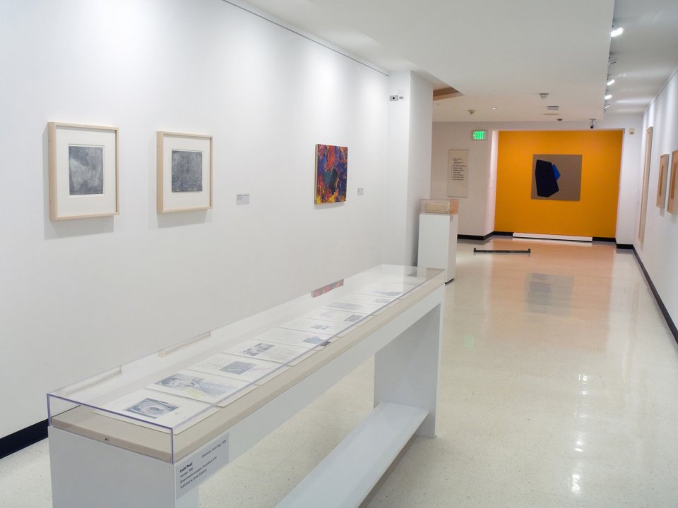 Installation view of Fifty Works for Fifty States: The Dorothy and Herbert Vogel Collection