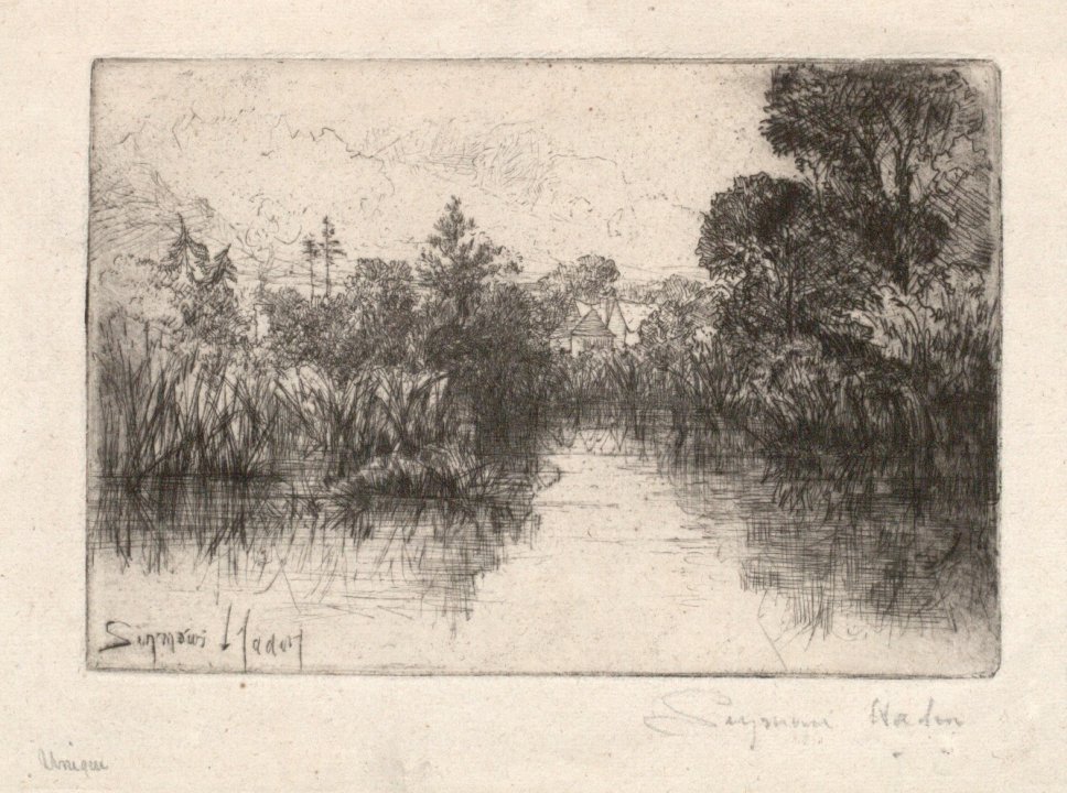 Shere Mill Pond, A Small Study