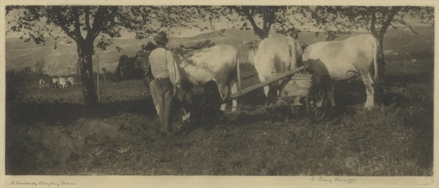 Lombardy Ploughing Team
