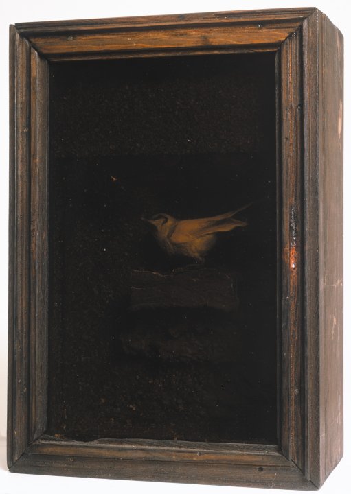 Chardonneret de Ronsard (bird habitat, amber glass)