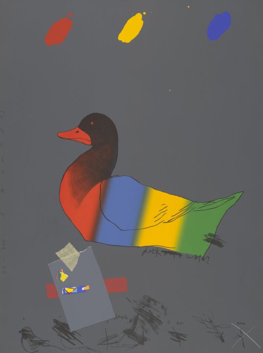 Duck Out of Water from the portfolio America: the third century