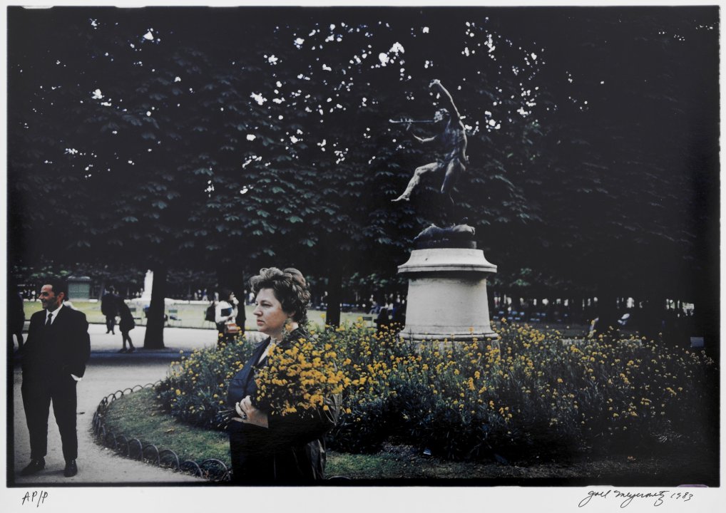 Woman, Luxembourg Gardens from The French Portfolio