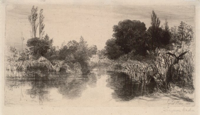 Shere Mill Pond - The Large Plate