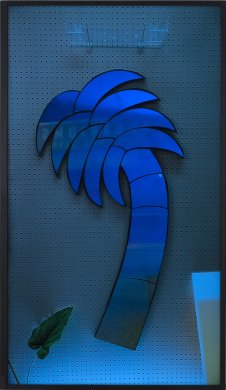 Mirror Palm