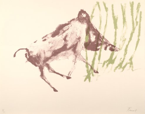 Small Boar from the series Wild Animals