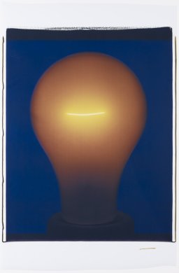 Light Bulb 00050C from the series Color Polaroid