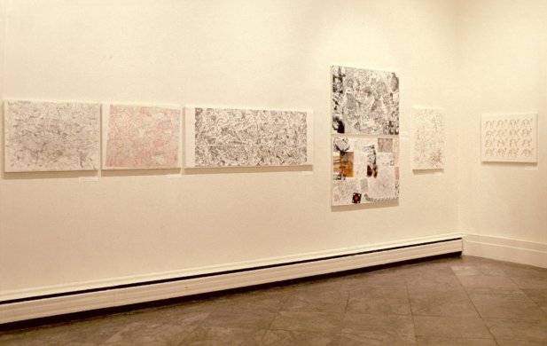 Installation view of Nancy Graves: Drawings, 1971–1973