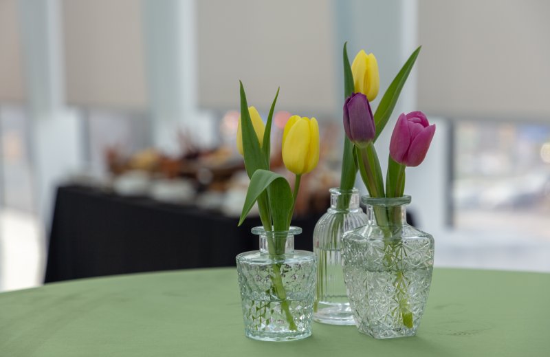 Tulips in three clear vases