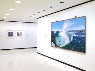 Installation view of Picturing Niagara featuring Frank C. Moore&#039;s Niagara, 1994–95, in the foreground