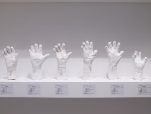 Close-up installation view of A Show of Hands