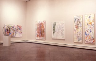 Installation view of Nancy Graves: A Survey 1969/1980