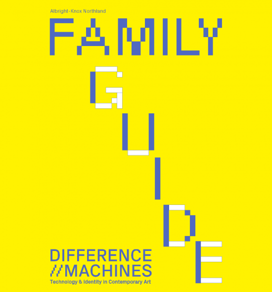 DM Family Guide Cover